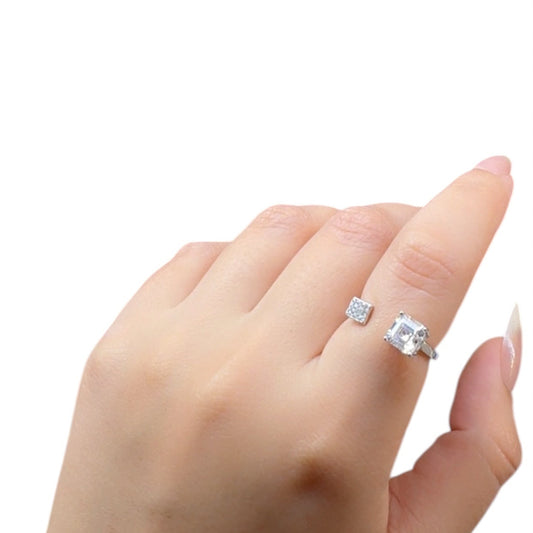 Duo Zircon Silver Ring