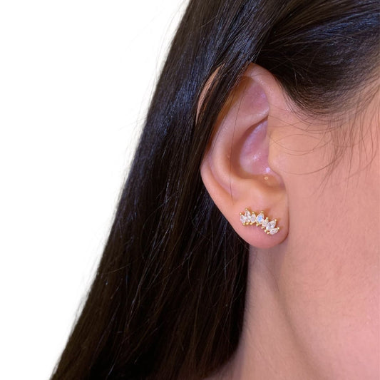 Zircon Earring(Gold Plated Sterling Silver Earring)